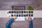 新疆网站权重提升策略，助力企业互联网发展