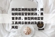 网络监测网站插件，揭秘网络监管新挑战，黑客渗透，新型网络监管工具揭示新挑战及安全风险