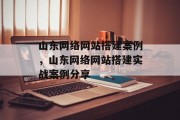 山东网络网站搭建案例，山东网络网站搭建实战案例分享
