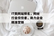 IT类网站排名,揭秘行业佼佼者,助力企业精准营销 IT类网站排名,揭秘行业佼佼者,助力企业精准营销