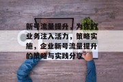 新号流量提升，为你的业务注入活力，策略实施，企业新号流量提升的策略与实践分享