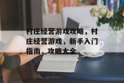 村庄经营游戏攻略，村庄经营游戏，新手入门指南，攻略大全