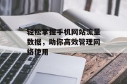 轻松掌握手机网站流量数据，助你高效管理网络使用