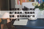 插件管理，如何让网站推广更高效，电商插件管理，提升网站推广效率的方法