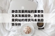 静态流量网站的重要性及其发展趋势，静态流量网站的现状与未来趋势分析