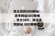 优化你的SEO网站: 清丰网站SEO策略，优化SEO，简洁高效网站 SEO策略,