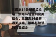 三国志14最新通关攻略，策略与智慧的完美结合，三国志14最新通关攻略，策略与智慧的完美结合