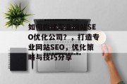 如何构建专业网站SEO优化公司?,打造专业网站SEO,优化策略与技巧分享 如何构建专业网站SEO优化公司?,打造专业网站SEO,优化策略与技巧分享