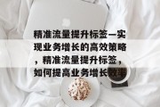 精准流量提升标签—实现业务增长的高效策略，精准流量提升标签，如何提高业务增长效率