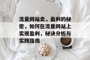 流量网站卖，盈利的秘密，如何在流量网站上实现盈利，秘诀分析与实践指南