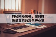 揭秘网络黑幕，偷网站流量背后的灰色产业链