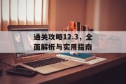 通关攻略12.3，全面解析与实用指南