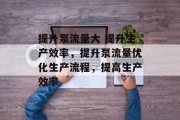 提升泵流量大 提升生产效率，提升泵流量优化生产流程，提高生产效率