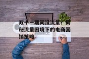双十一期间没流量?揭秘流量困境下的电商营销策略 双十一期间没流量?揭秘流量困境下的电商营销策略