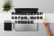 揭秘网站耍流量背后的灰色产业链，揭秘真相，守护网络生态