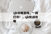 sjk攻略游戏，一网打尽！，sjk枪战攻略