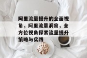 阿里流量提升的全面视角，阿里流量洞察，全方位视角探索流量提升策略与实践