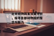 北京动物园客流量分析，探寻首都动物园的繁华与魅力