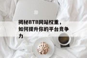 揭秘BTB网站权重，如何提升你的平台竞争力