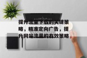 提升流量下载的关键策略,精准定向广告,提升网站流量的有效策略