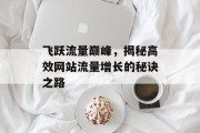 飞跃流量巅峰,揭秘高效网站流量增长的秘诀之路 飞跃流量巅峰,揭秘高效网站流量增长的秘诀之路