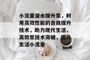 小流量潜水提升泵，利用高效性能的自我提升技术，助力现代生活，高效泵技术突破，提升生活小流量