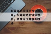 东莞网站关键字优化策略，东莞网站关键词优化，精准定位竞争新机遇