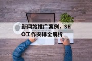 新网站推广案例，SEO工作安排全解析