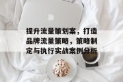提升流量策划案,打造品牌流量策略,策略制定与执行实战案例分析