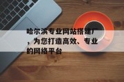 哈尔滨专业网站搭建厂,为您打造高效、专业的网络平台 哈尔滨专业网站搭建厂,为您打造高效、专业的网络平台