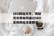 SEO网站月光,揭秘月光族如何通过SEO实现网站流量翻倍 SEO网站月光,揭秘月光族如何通过SEO实现网站流量翻倍