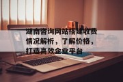 湖南咨询网站搭建收费情况解析，了解价格，打造高效企业平台