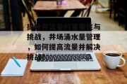 提升井流量的重要性与挑战,井场涌水量管理,如何提高流量并解决挑战? 提升井流量的重要性与挑战,井场涌水量管理,如何提高流量并解决挑战?