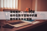 深度解析,com网站插件在数字营销中的重要作用及优化策略 深度解析,com网站插件在数字营销中的重要作用及优化策略
