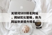 关键词SEO排名网站，揭秘优化策略，助力网站快速提升排名