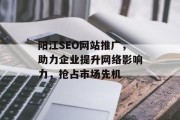 阳江SEO网站推广,助力企业提升网络影响力,抢占市场先机 阳江SEO网站推广,助力企业提升网络影响力,抢占市场先机