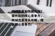 同城流量如何提升快?提升你的核心竞争力,同城流量增长攻略,提升核心竞争力!
