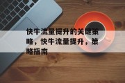 快牛流量提升的关键策略，快牛流量提升，策略指南
