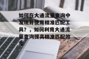 如何在大通流量查询中发现并使用精准匹配工具?,如何利用大通流量查询提高精准匹配效率 如何在大通流量查询中发现并使用精准匹配工具?,如何利用大通流量查询提高精准匹配效率