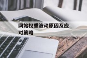 网站权重波动原因及应对策略