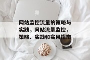 网站监控流量的策略与实践,网站流量监控,策略、实践和实用指南 网站监控流量的策略与实践,网站流量监控,策略、实践和实用指南