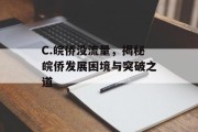 C.皖侨没流量,揭秘皖侨发展困境与突破之道 C.皖侨没流量,揭秘皖侨发展困境与突破之道