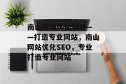 南山网站优化SEO——打造专业网站,南山网站优化SEO,专业打造专业网站