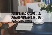 贵阳网站优化攻略，全方位提升网站权重，助力企业网络营销