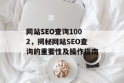 网站SEO查询1002，揭秘网站SEO查询的重要性及操作指南