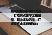 精准定位目标用户流量，打造高点击率营销策略，精准定位流量，打造高点击率营销策略
