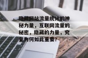 隐藏网站流量统计的神秘力量,互联网流量的秘密,隐藏的力量,究竟为何如此重要? 隐藏网站流量统计的神秘力量,互联网流量的秘密,隐藏的力量,究竟为何如此重要?