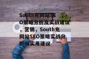 South充网站SEO策略分析及实战建议，营销，South充网站SEO策略实战分析与实用建议