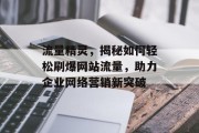流量精灵,揭秘如何轻松刷爆网站流量,助力企业网络营销新突破 流量精灵,揭秘如何轻松刷爆网站流量,助力企业网络营销新突破