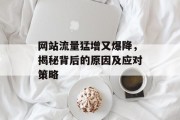 网站流量猛增又爆降,揭秘背后的原因及应对策略 网站流量猛增又爆降,揭秘背后的原因及应对策略